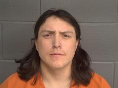 Mugshot of WOLFE, MAISEN LEE