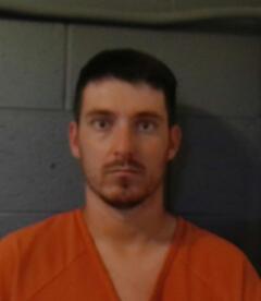 Mugshot of DICKSON, TANNER WADE