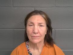 Mugshot of SEIDEL, DENA MARIE