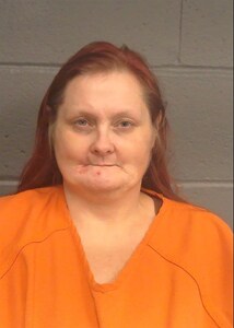 Mugshot of COOK, SARAH DEAN