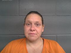 Mugshot of ELLIS, KATHY MARIE