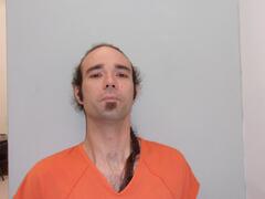 Mugshot of RYAN, DONOVAN BRENT 