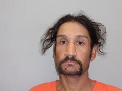Mugshot of ARNEECHER, ROBERT CHESTON 