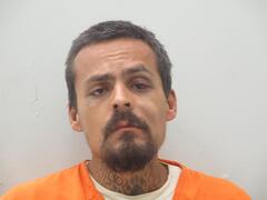 Mugshot of THOMPSON, WILLIAM SHANE