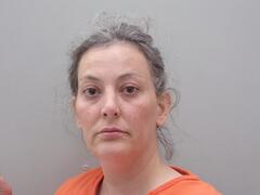 Mugshot of SHUCK, LISA MARIE NICOLE 