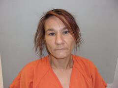 Mugshot of SIMS, STEPHANIE DAWN 