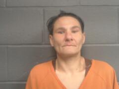 Mugshot of SIMS, STEPHANIE DAWN