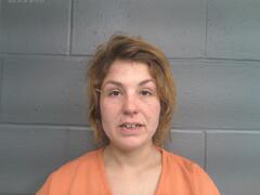 Mugshot of WILLHITE, ALISHA NICHOLE