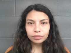 Mugshot of MOUSE, TARA LYNN